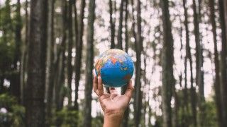 dłoń trzymająca globus na tle lasu