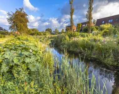 rzeczka otoczona bujną roślinnością, płynąca przez obszary zabudowane