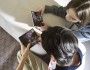smartfon wymiana nowy samsung