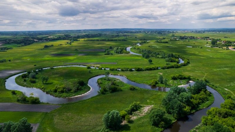 Meandrująca rzeka. W tle wieś