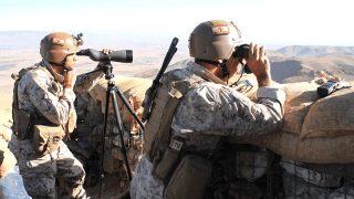 Liban, Izrael, Wojna, armia libańska