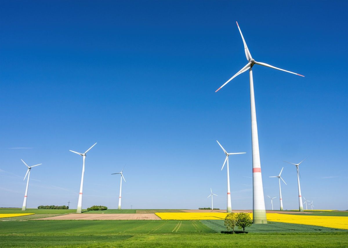 Berlin, Warszawa - wspólna sprawa. OZE rosną po obu stronach Odry