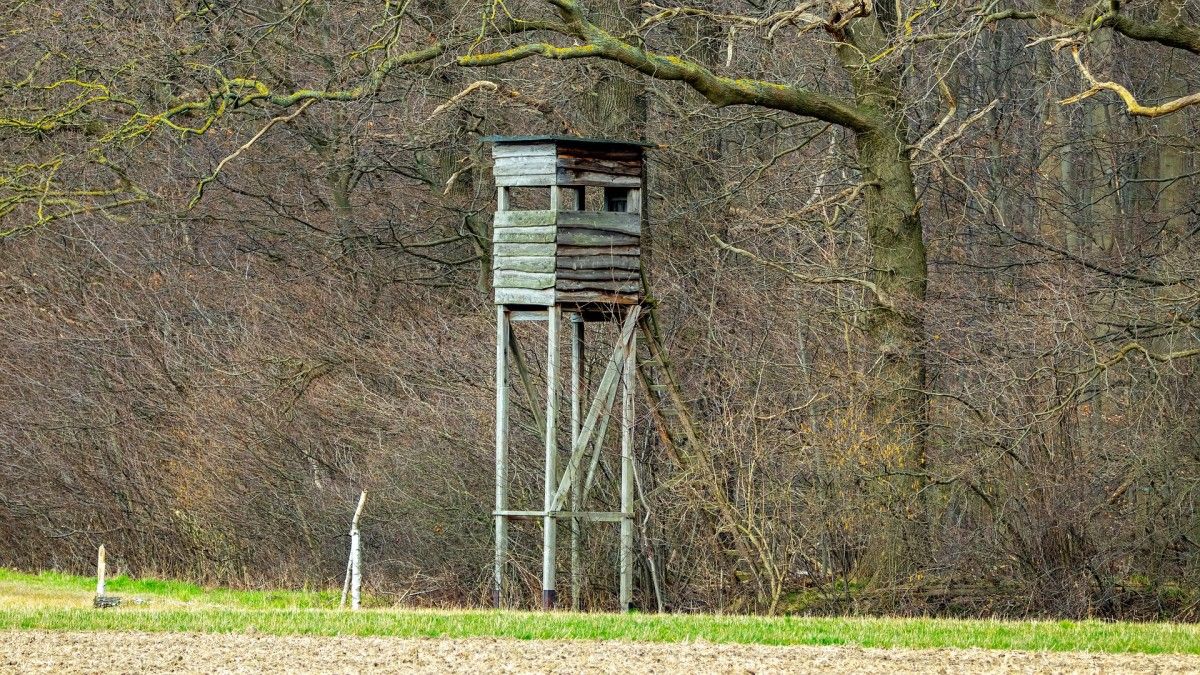 Obowiązkowe badania dla posiadaczy broni coraz bliżej?