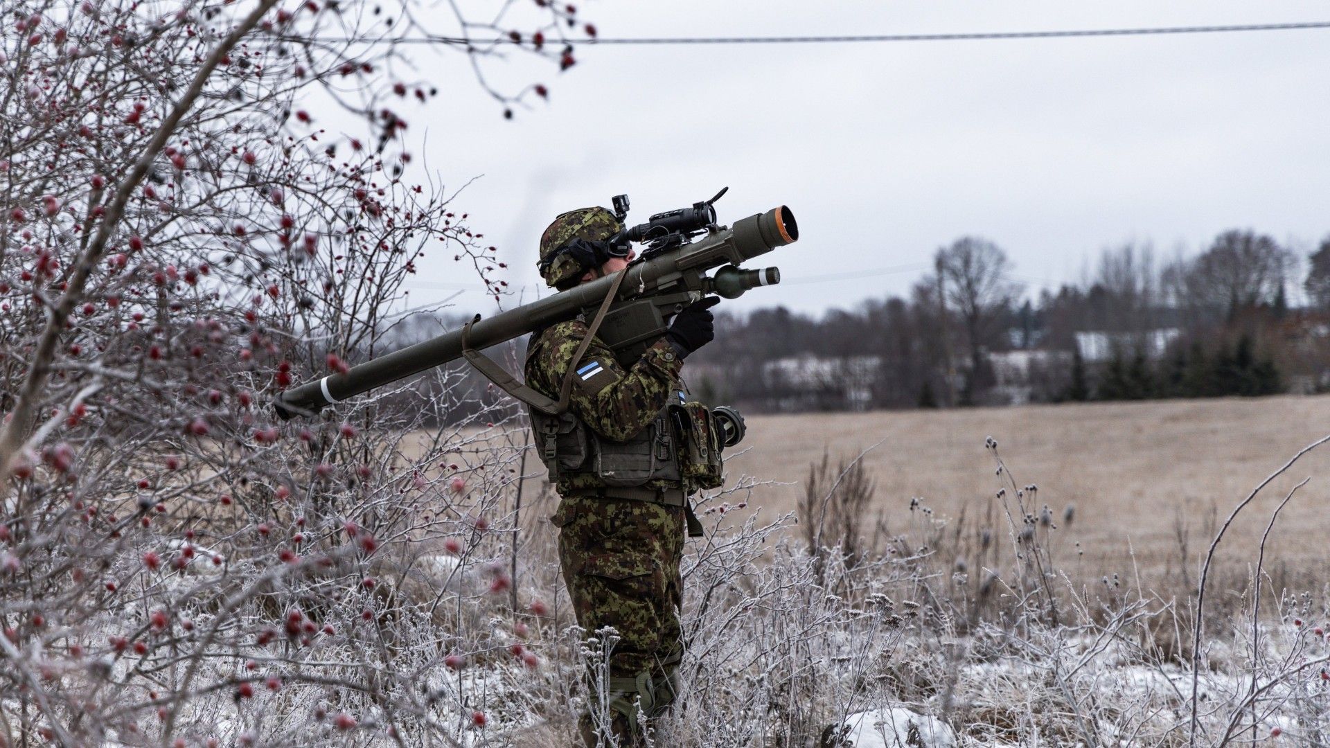 Estonia kupi więcej Piorunów