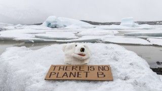 Pluszowa maska niedźwiedzia polarnego leży na krze. Pod maską widnieje napis "There is no Planet B".