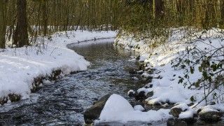 strumień płynący przez las wczesną wiosną, śnieg zaczyna się topić, świeci poranne słońce