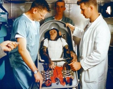 NASA, nauka, zwierzęta, szympans, Ham, USA, Stany Zjednoczone