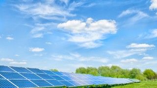 Panele słoneczne na zielonym polu, świeci słońce, błękitne niebo, w tle zielone drzewa