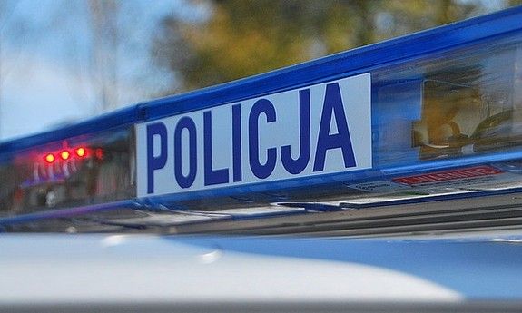 Policjant wydalony ze służby. Nie skrócił cierpienia rannego zwierzęcia