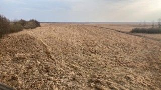 Widok z wieży widokowej na wysuszone Bagno Ławki