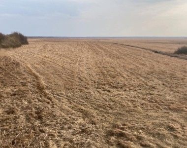 Widok z wieży widokowej na wysuszone Bagno Ławki