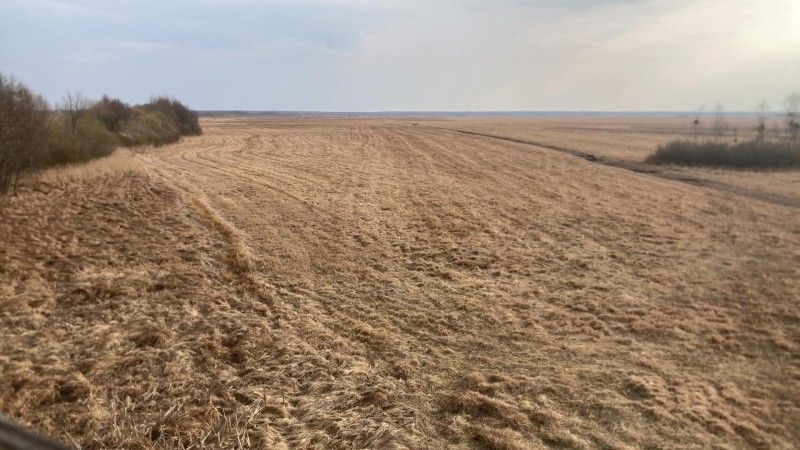 Widok z wieży widokowej na wysuszone Bagno Ławki