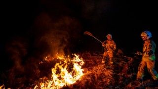 Dwaj strażacy gaszący pożar trzcinowiska tłumicami w nocy