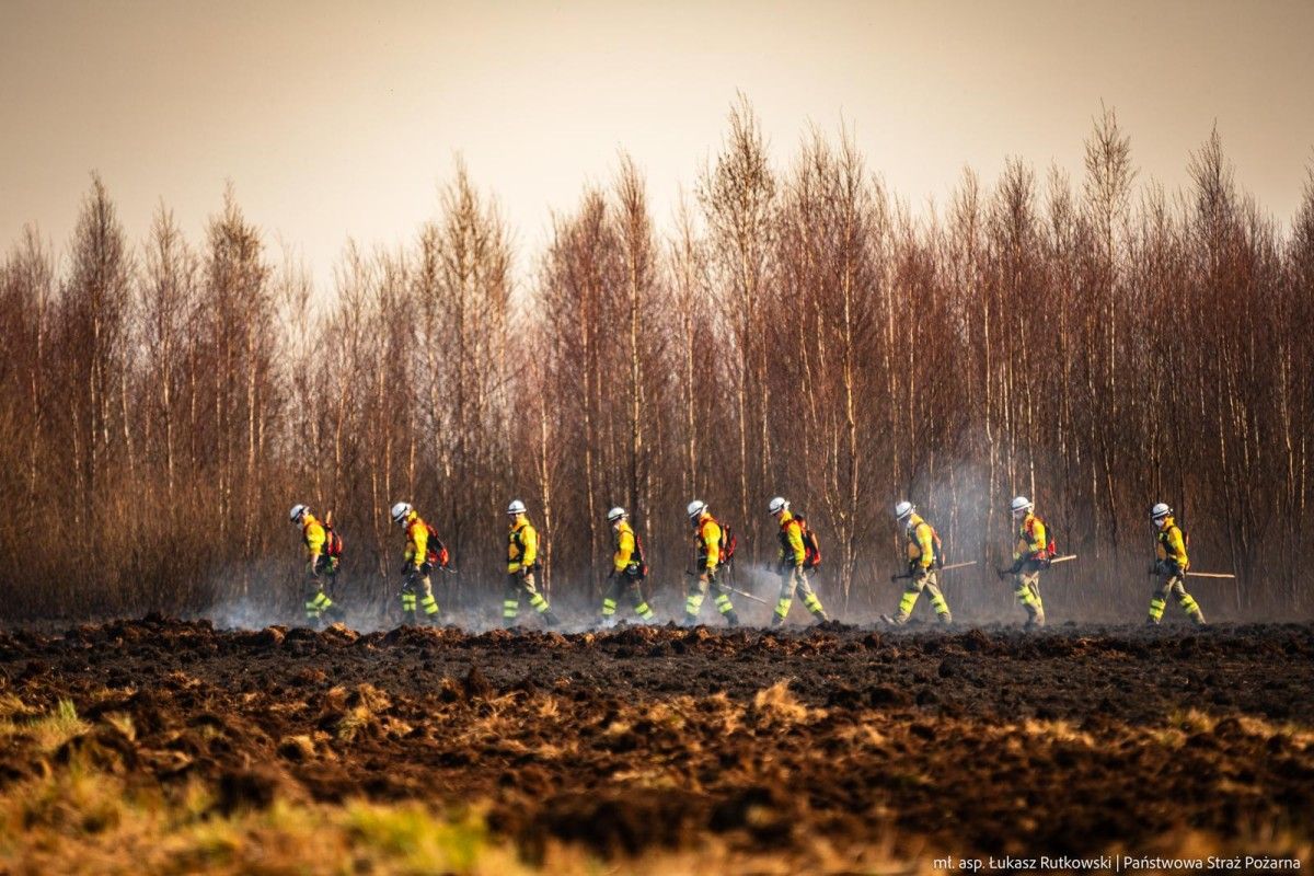 Nawet 30 tys. złotych kary za wypalanie traw
