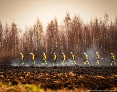 Strażacy dogaszają pożar na torfowisku, idą w szeregu, w tle las