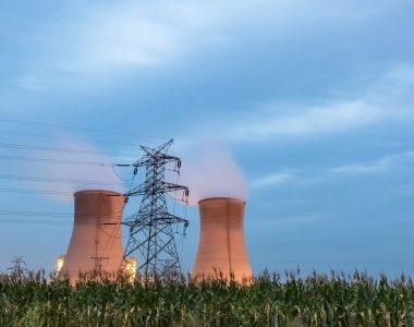 Reaktory jądrowe na tle łąki.