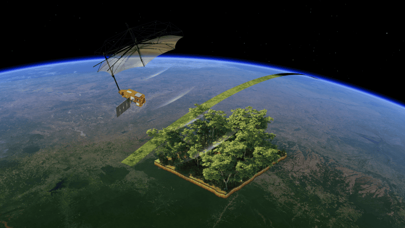 ESA, Europejska Agencja Kosmiczna, satelita, Biomass, lasy