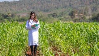 Naukowczyni w białym fartuchu i okularach z robi notatki w notatniku idąc przez pole roślin uprawnych