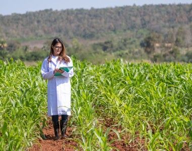 Naukowczyni w białym fartuchu i okularach z robi notatki w notatniku idąc przez pole roślin uprawnych