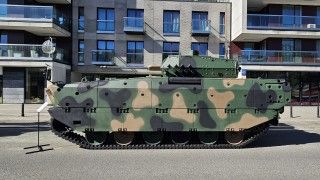 Bojowy wóz piechoty Borsuk.