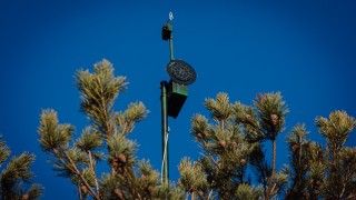 Ćwiczenia 15. Giżyckiej Brygady Zmechanizowanej z wykorzystaniem bezzałogowców klasy mikro (mikrodronów).