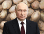 Smutny Władimir Putin na tle kartofli.