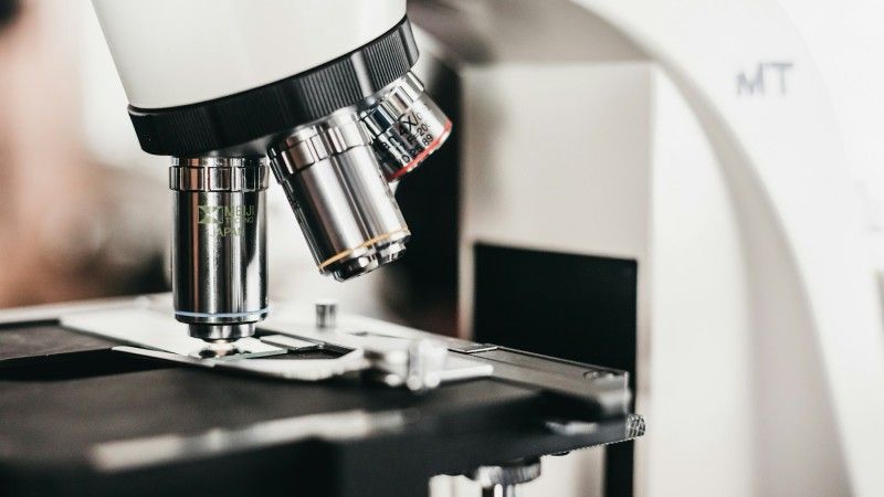 Resort nauki ogłosił uruchomienie portalu Usługi dla nauki, który ma być agregatorem informacji o polskich serwisach naukowych. Przypomniano również o trwających pracach nad e-dyplomami.