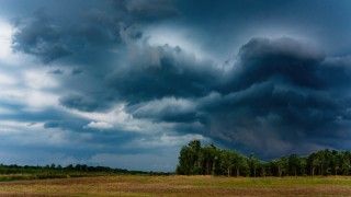 las, pole, nad nimi chmury burzowe