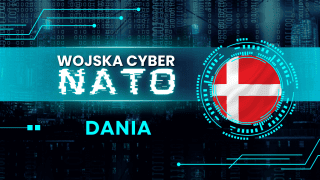Dania konsekwentnie rozwija swoje zdolności w zakresie cyberbezpieczeństwa. Jej system oparto na ścisłej integracji struktur wojskowych i wywiadowczych, zaś sfera cyber stała się teatrem działań operacyjnych.