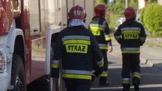 Pierwszy tydzień lipca upłynął pod znakiem kilku pożarów i uszkodzenia gazociągu. Spowodowało to podejrzenia o skoordynowany rosyjski sabotaż. Teza ta nie ma jednak pokrycia w faktach.