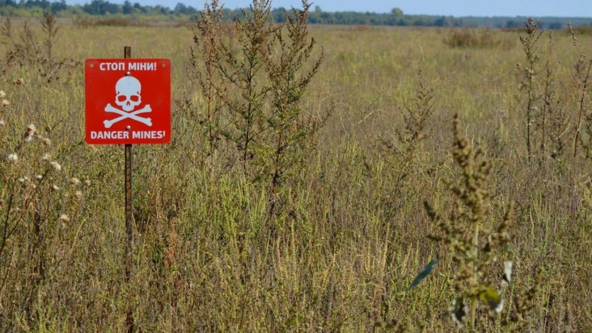 Polska powróci do masowej produkcji min przeciwpiechotnych