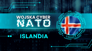Islandia nie posiada ministerstwa obrony ani sił zbrojnych. Niemniej, Reykjavik traktuje domenę cyfrową jako fundament swojej narodowej strategii bezpieczeństwa.