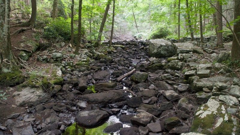 wyschnięty strumień w górach