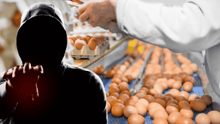 hacker produkcja żywności odporny przemysł