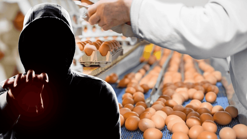 hacker produkcja żywności odporny przemysł