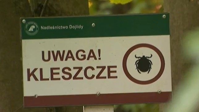 WIM apeluje, by ukłuci przez kleszcza wypełnili zdalną ankietę