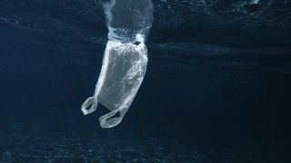 plastikowa reklamówka pływająca w oceanie