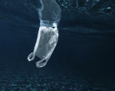 plastikowa reklamówka pływająca w oceanie