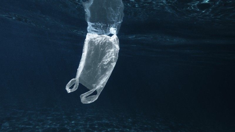 plastikowa reklamówka pływająca w oceanie