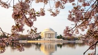 Pomnik Jefferson Memorial w Waszyngtonie.