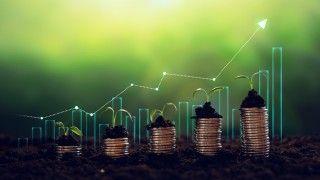 wykres słupkowy, rosnący, na pierwszym planie ułożone stosy monet z których wyrastają roślinki