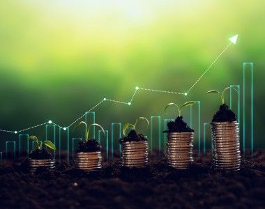 wykres słupkowy, rosnący, na pierwszym planie ułożone stosy monet z których wyrastają roślinki