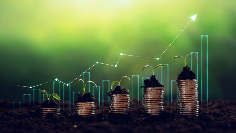 wykres słupkowy, rosnący, na pierwszym planie ułożone stosy monet z których wyrastają roślinki