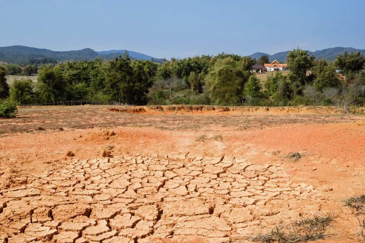 Niepokojący trend przyspiesza. Fale upałów są coraz dłuższe