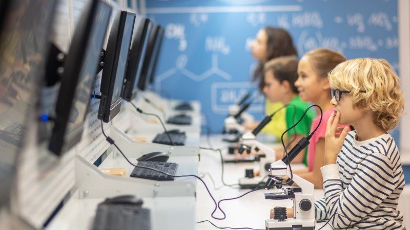 NASK otworzył oferty w przetargu na wyposażenie pracowni AI oraz STEM w szkołach. Udział wzięło łącznie 14 firm i konsorcjów - które oferty były najkorzystniejsze pod względem ceny?