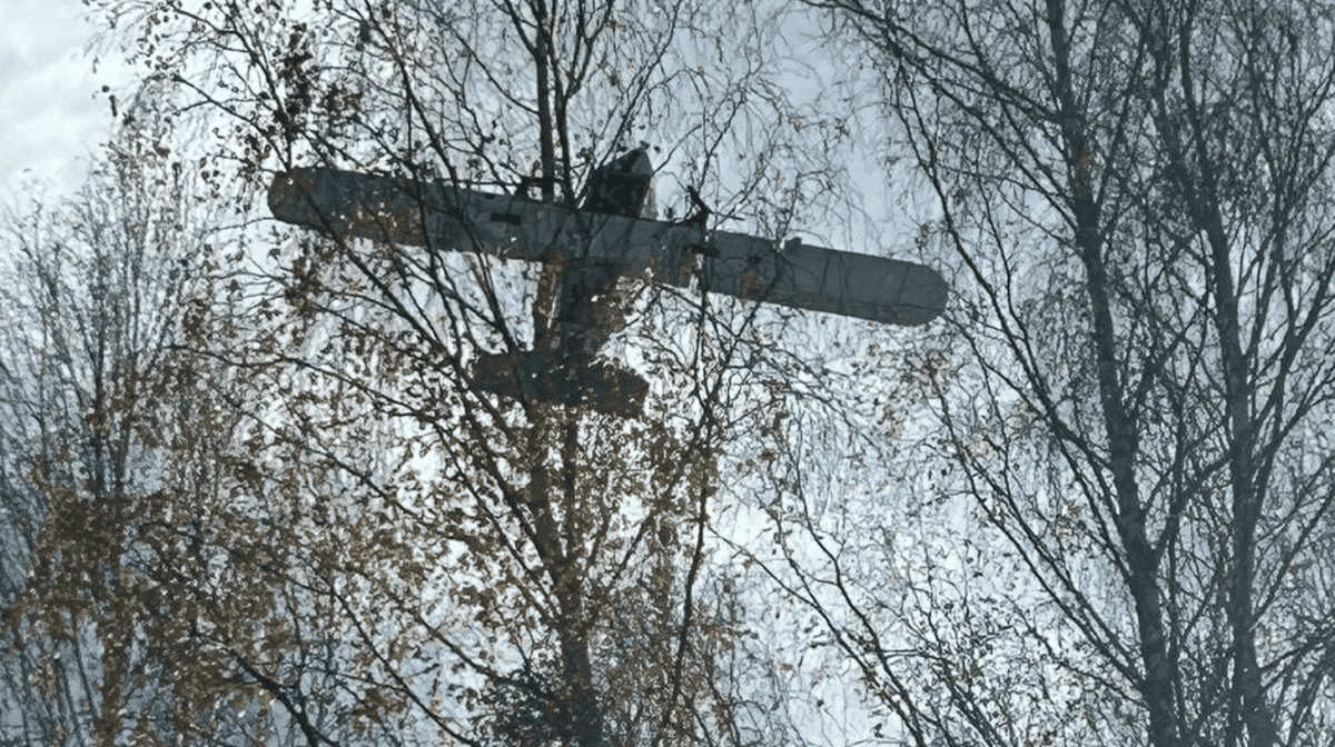 A drone with contraband crashed into a tree. Hundreds of packs of cigarettes inside