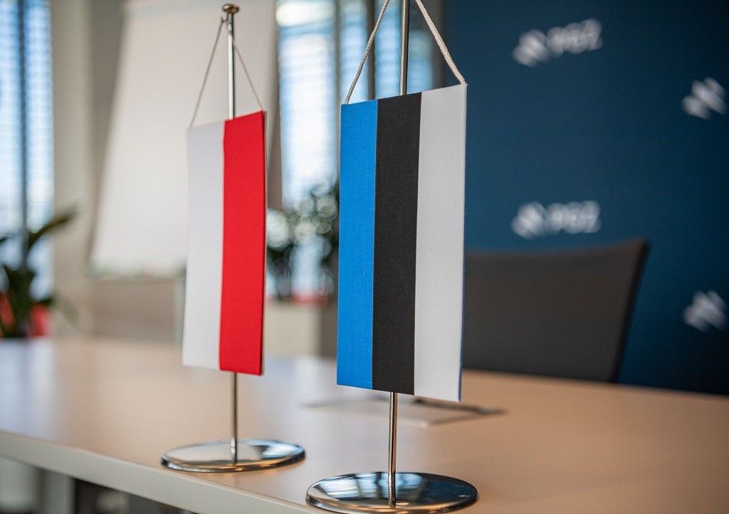 Польша и Эстония разрабатывают совместные системы защиты от беспилотников