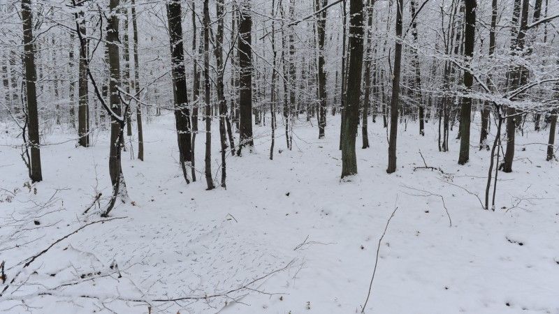 Tarp Mirandy zapewnia skuteczne maskowanie w zimowych warunkach.