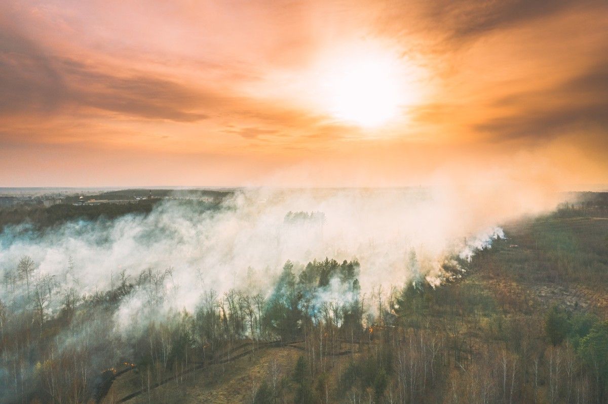Popiół po letnich pożarach wciąż zanieczyszcza wody w Hiszpanii