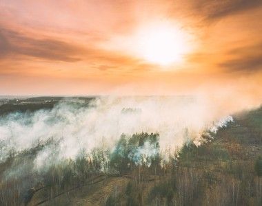 płonący las o zachodzie słońca